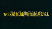 专业精梳棉毛巾底运动袜子羽毛球跑步袜吸汗透气抗菌脚底按摩袜